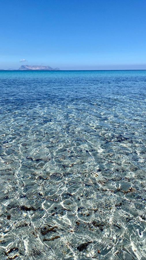 La Pavoncella Sul Mare Vakantiehuis Tanaunella