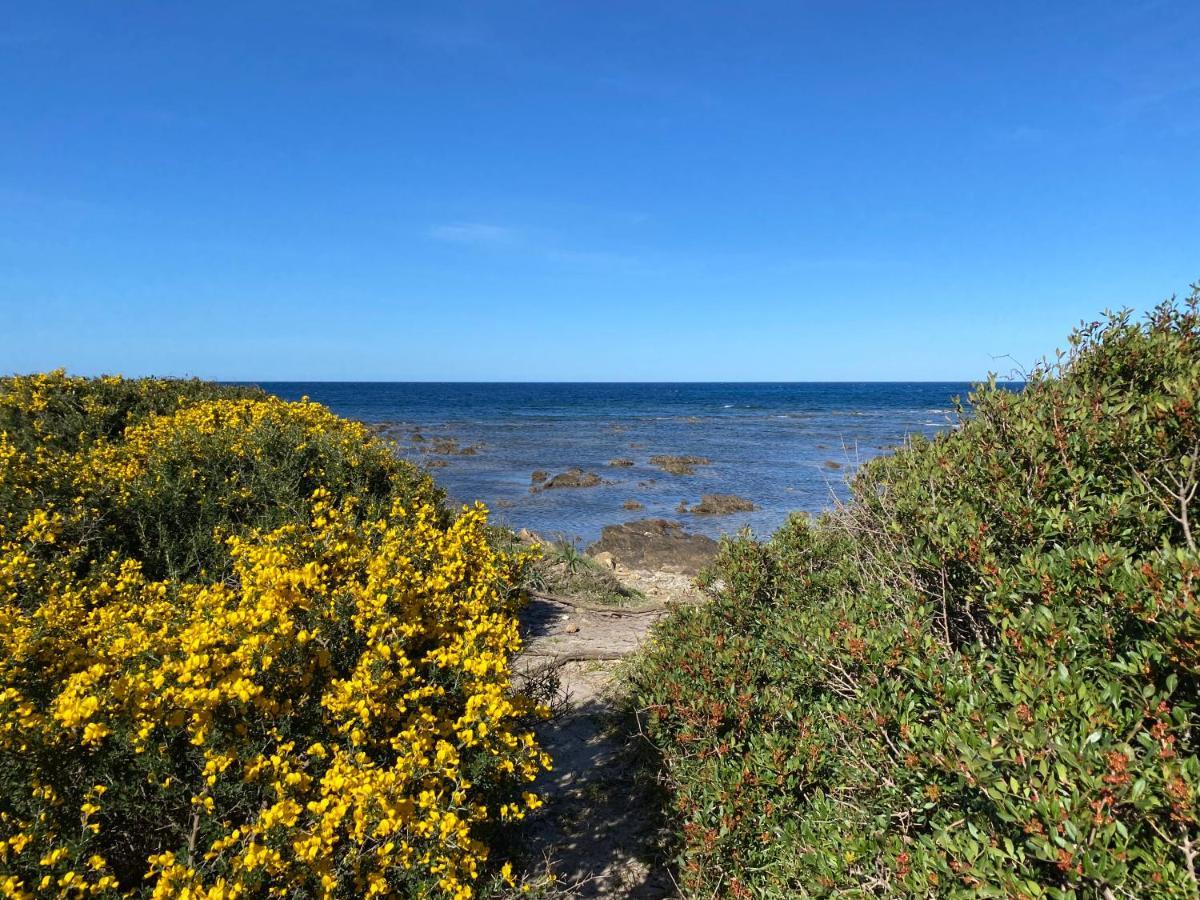 Holiday home La Pavoncella Sul Mare