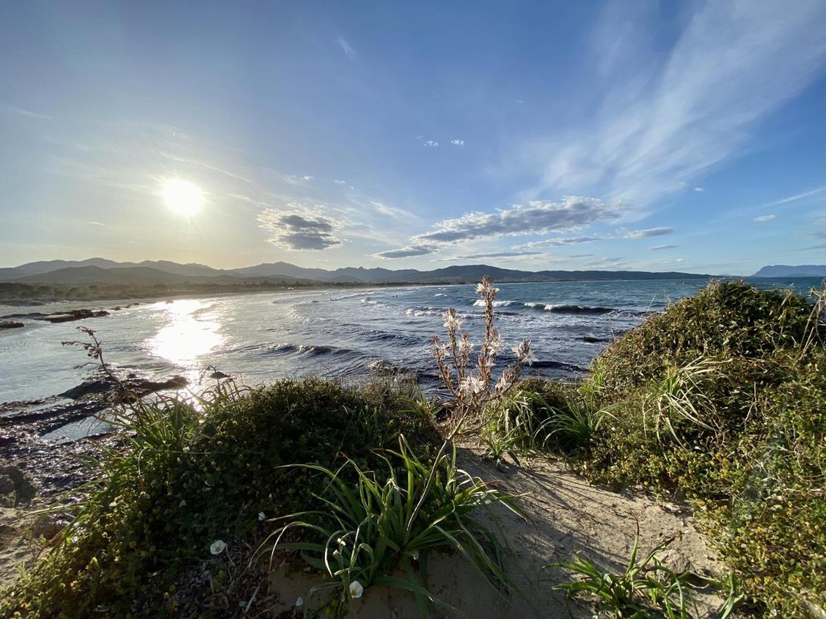 La Pavoncella Sul Mare Holiday home *